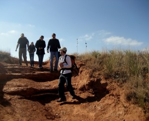 paloduro2 paloduro2