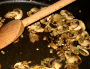 shrooms shrooms