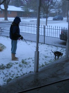 snow1