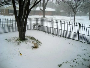 snow4