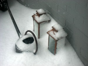 snow6