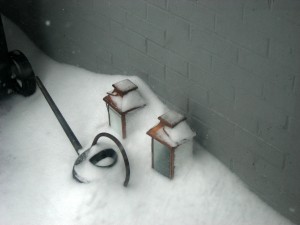 snow7