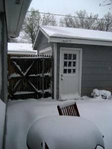 snow8