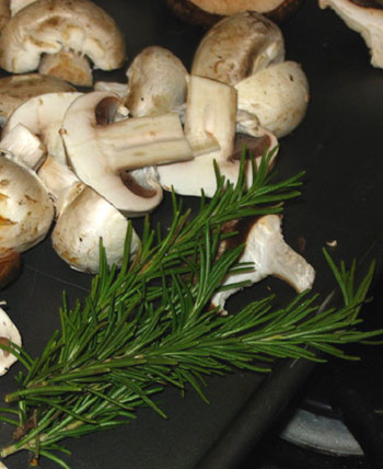 mushroom1