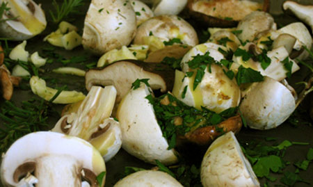 mushroom21