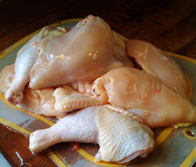 chicken1