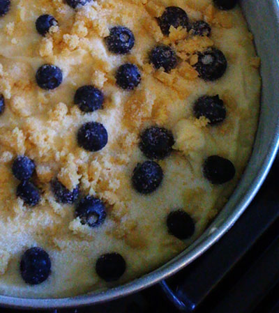 blueberry2