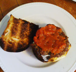 greekburger5 greekburger5