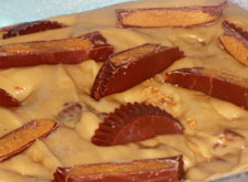 reeses1 reeses1