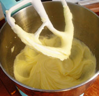 squashcake7 squashcake7