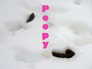 poopy
