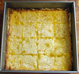 lemonsquares4