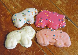 circuscookie1