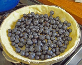 blueberrypie5