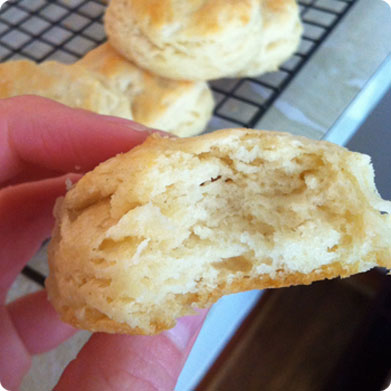 biscuits2