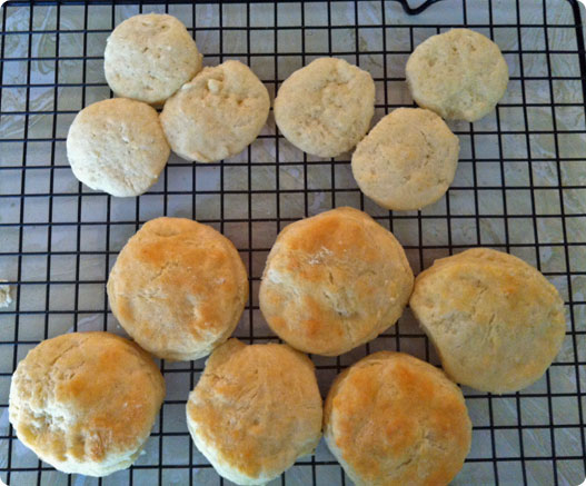 biscuits5